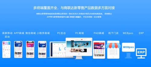 怎么选择b2b商城定制公司